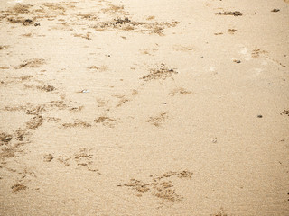 Patterns Texture of sand on the beach
