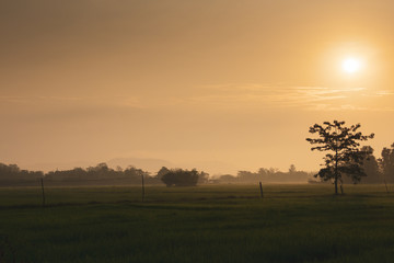 Obraz na płótnie Canvas sunset over a field