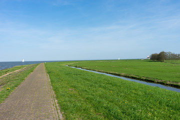 Fototapeta na wymiar Netherlands,Wetlands,Maarken, a large green field with trees in the background