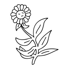 quirky line drawing cartoon daisy flower
