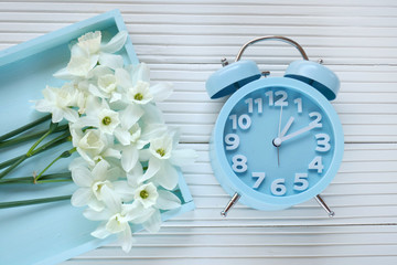 Spring time.Flat lay..Blue alarm clock , bouquet of white daffodils in a blue tray on a light...