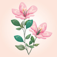 exotic flowers plants with branches leaves