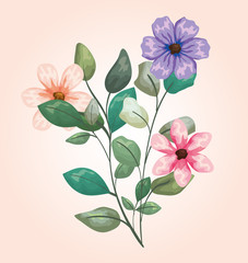 flowers plants with tropical branches leaves design