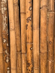 bamboo texture background 