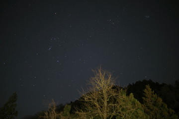 オリオン座とおうし座