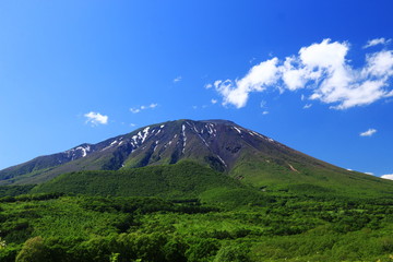 Obraz premium 新緑の季節 岩手山のある風景