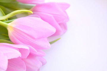 Beautiful gentle  bright spring floral composition. Bouquet of pink tulips on a white background. Top view