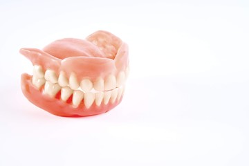 Artificial teeth on a white background