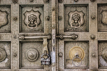 Brass door handle with lion face