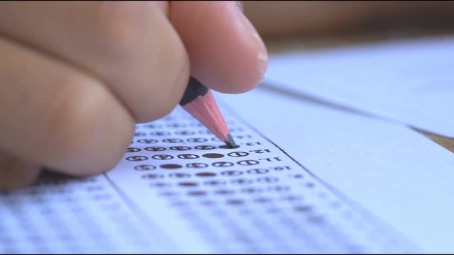 Pencil writing answer on paper answer of question in examination test.