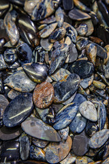 Blue stone lapis lazuli natural background