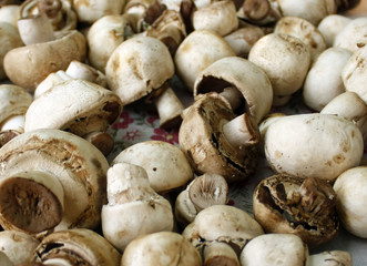 Fresh champiognion mushrooms.