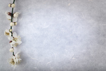 white flower blossoms on rice paper texture background with vignette effect