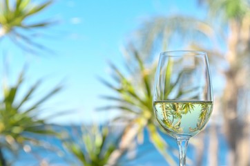 glass of wine with tropical background