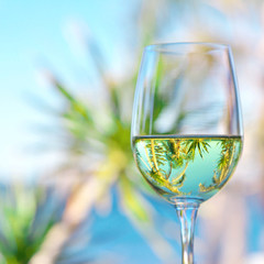 glass of white wine in summer scene