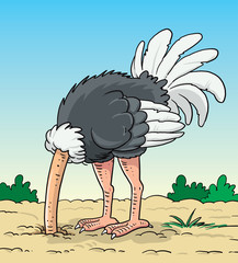 Ostrich hides its head in the ground - Illustration