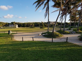 Obraz premium Maya ruins