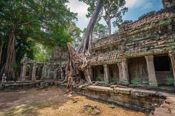 Fototapeta na wymiar Preah Khan temple, Cabodia: Third enclosure wall east gopuram (entrance) with tree grown onto building