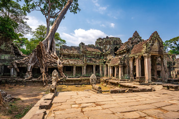 Preah Khan temple, Cabodia: Third enclosure wall east gopuram (entrance) and two level terrace with tree grown onto building