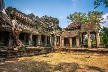 Preah Khan temple, Cabodia: Third enclosure wall east gopuram (entrance) with tree grown onto building