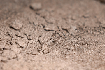 Closeup inspection of mud, clay, earth.