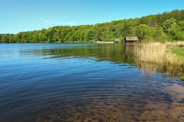 Am See im Frühling - Plauer See