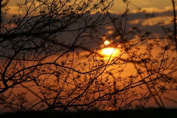 child playing at sunset