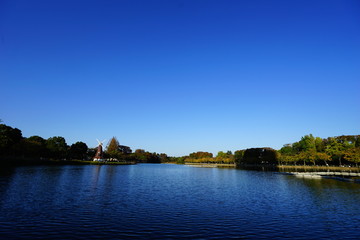 Obraz premium 快晴の浮間公園 池