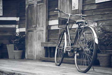Fototapeta na wymiar old bicycle or bike at front of retro wooden home terrace with wood door and window between tree in the flowerpot for exterior and interior decor or classic background on vintage blue black and white