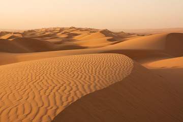 Dunes of the Wahiba Sand Desert at dawn (Oman)