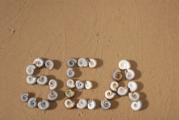 Fototapeta na wymiar The word Sea is written in small sea shells on the yellow sand of the sea coast or the ocean shore.