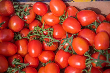 Fresh Italian Tomatoes For Sale at Outdoor Italian Food Market