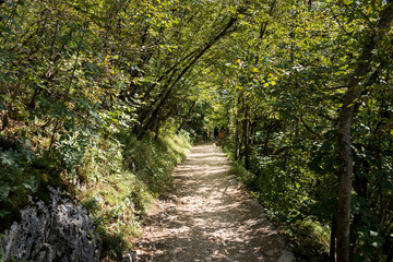 Plitvice Lakes National Park in Croatia