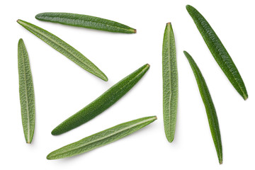 Rosemary Leaves Isolated On White Background