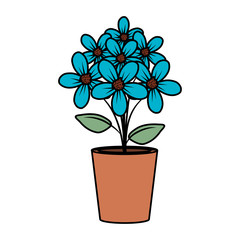 floral decoration in clay pot