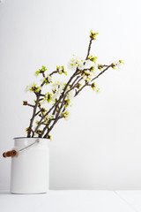 blossoming cherry flower branch at milk canister, white wood table