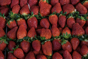 Strawberry on local market in belgrade serbia