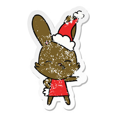 curious bunny distressed sticker cartoon of a wearing santa hat