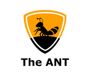 ant concept 5