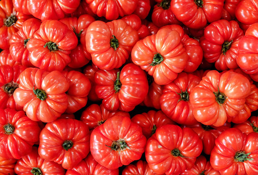 ribbed heirloom tomato background