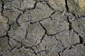 Cracked dry soil