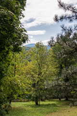 Fototapeta premium Plitvice Lakes National Park in Croatia