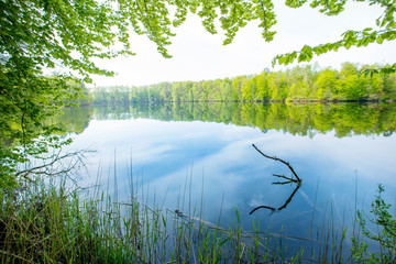 a lonely lake in Brandenburg (Germany) in spring