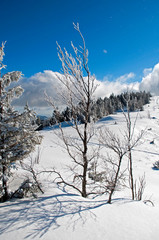 frosty day on the top of the mountain