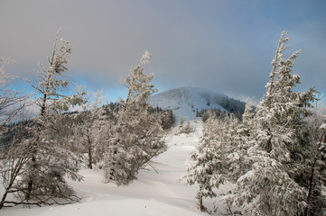 frosty day on the top of the mountain