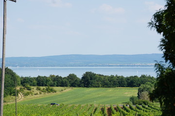 Blick vom Nordufer des Plattensee zum Südufer