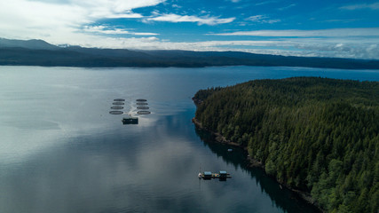 Fish farm near Vancouver isand. Drone top view