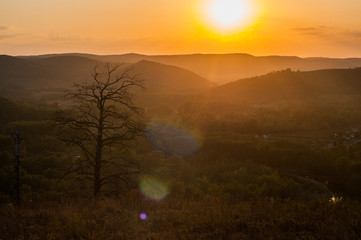 sunset in the mountains, in the foreground spruce and several tree trunks, burned in a long fire