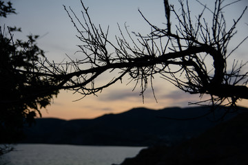 Beautiful view of the Crimean Black Sea coast