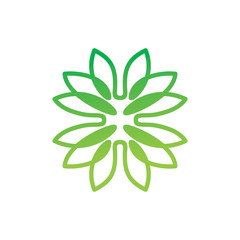 Leaf Logo Design Vector Template Set